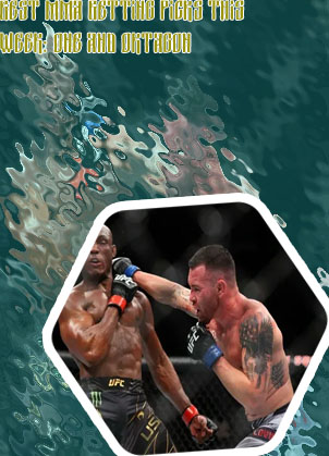 Mma picks
