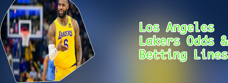 Odds lakers